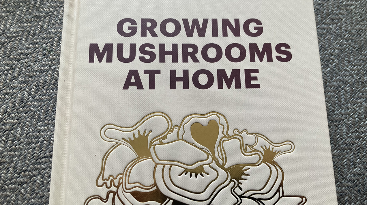 Growing Mushrooms at Home